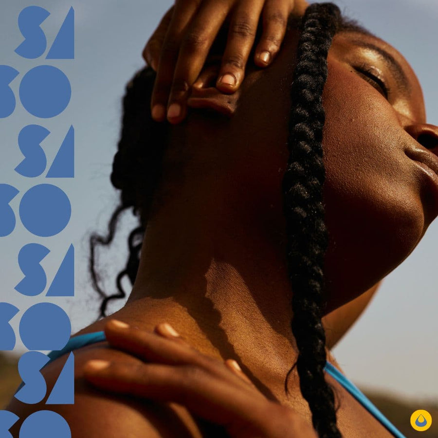 Femme noire a la plage portant une coiffure protectrice avec des braids-routine cheveux secs eté